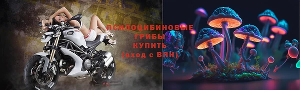 ПСИЛОЦИБИНОВЫЕ ГРИБЫ Бежецк