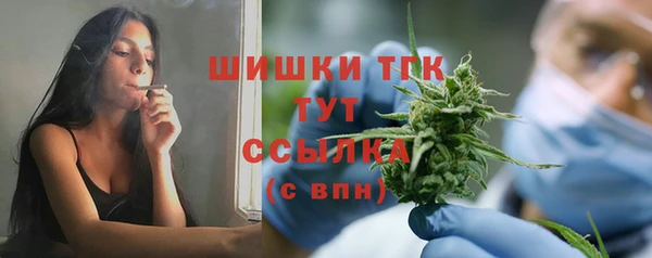 мдпв Горняк
