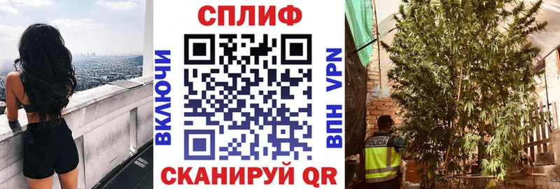 Канабис White Widow  Гороховец 